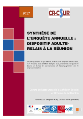 Synthèse de l'enquête annuelle 2017 - Dispositif Adulte-Relais