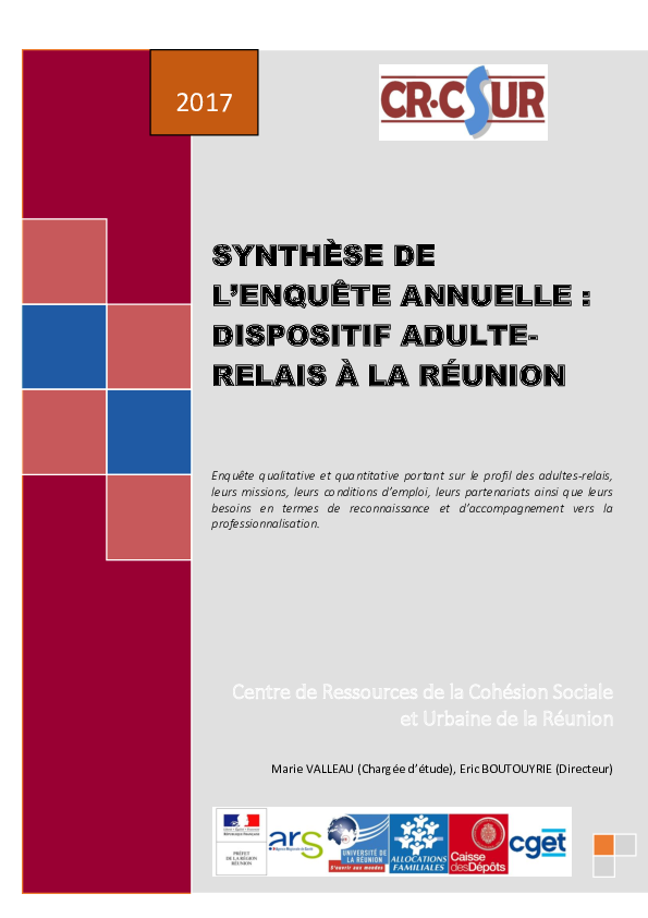 Synthèse de l'enquête annuelle 2017 - Dispositif Adulte-Relais